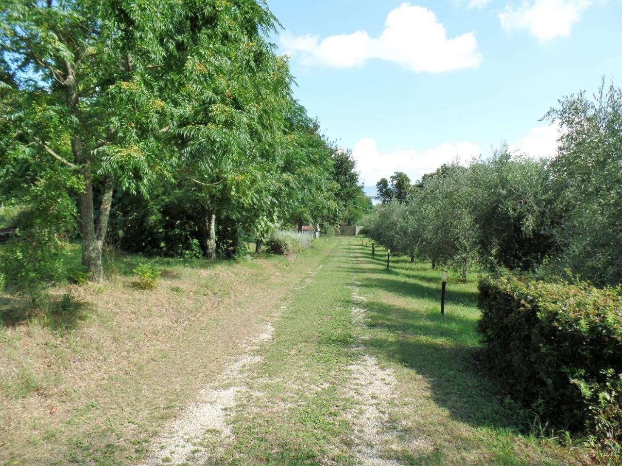 Poggiolindo B&B Capodimonte Eksteriør billede