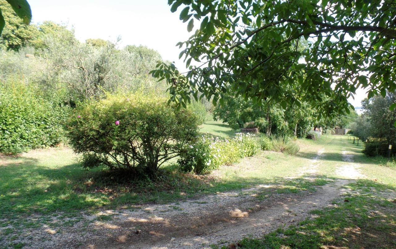 Poggiolindo B&B Capodimonte Eksteriør billede