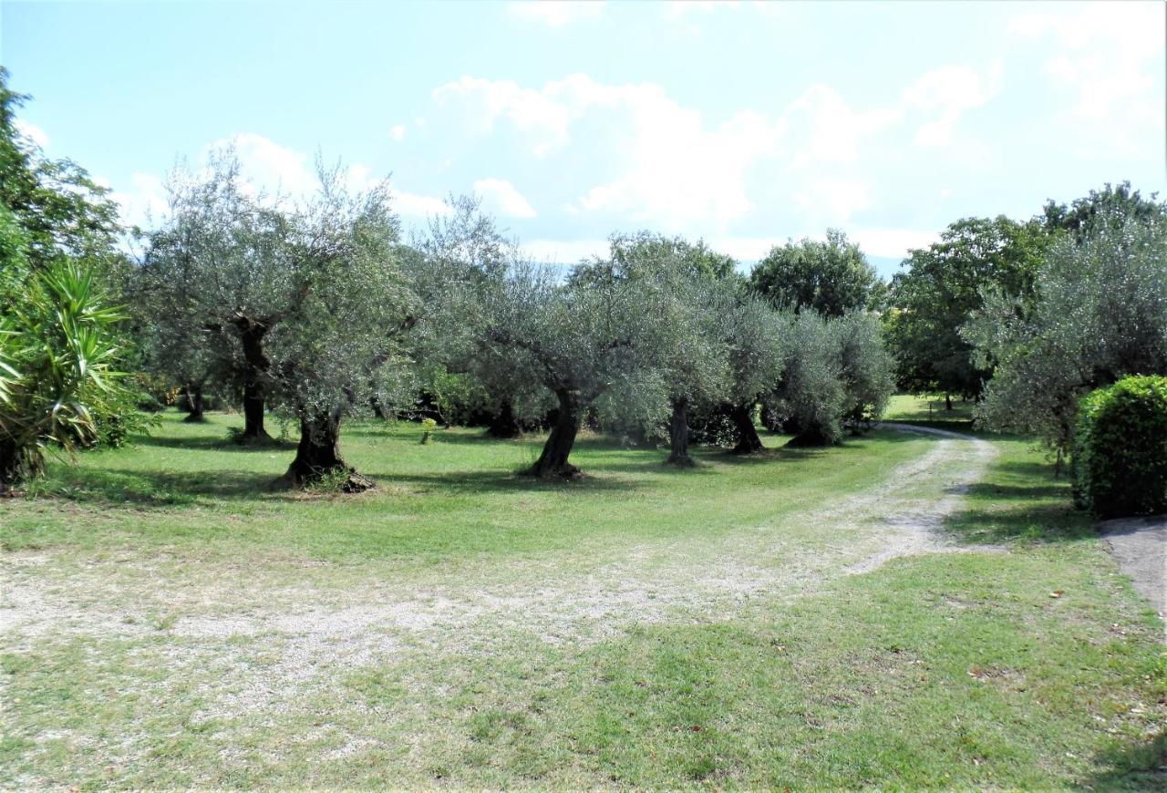 Poggiolindo B&B Capodimonte Eksteriør billede