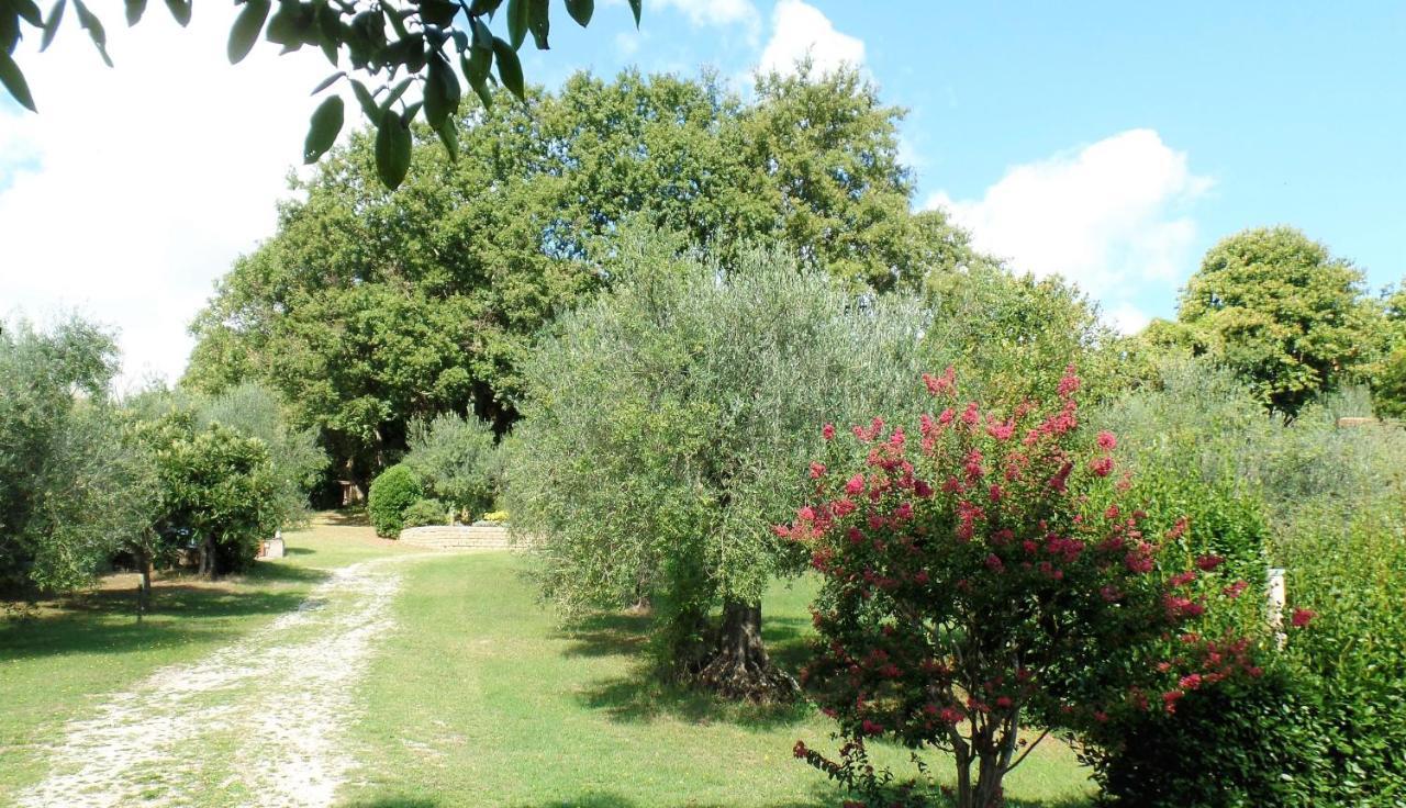 Poggiolindo B&B Capodimonte Eksteriør billede